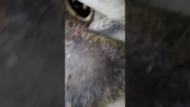 Замена масла в Шкода YETI смотреть онлайн
