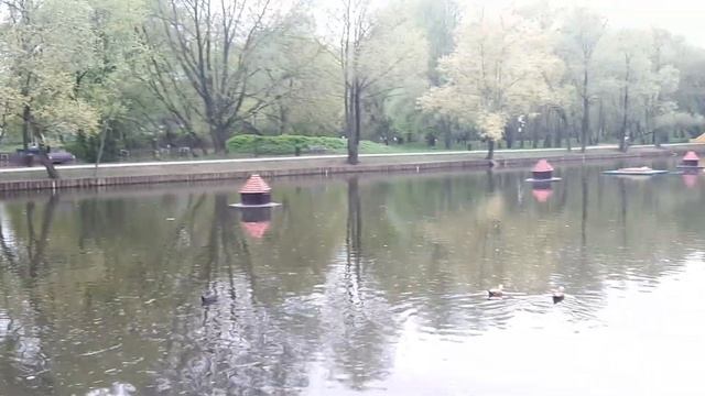 птицы в парке "Сад Будущего", метро Ботанический сад, 1 мая 2023 г смотреть онлайн