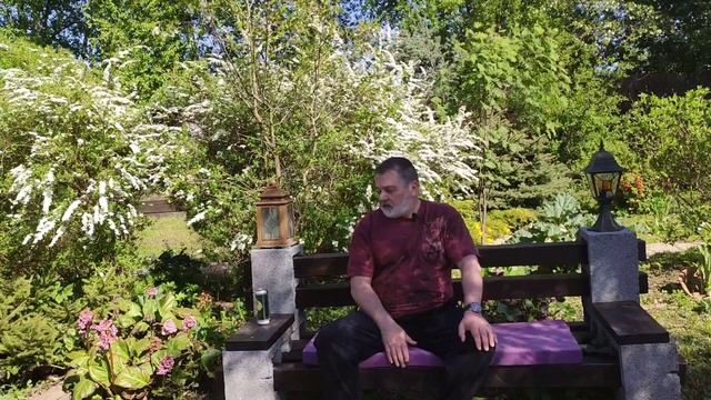 Ландшафтный дизайн своими руками, обзор "запущенного участка", планировка участка, обзор участка смотреть онлайн