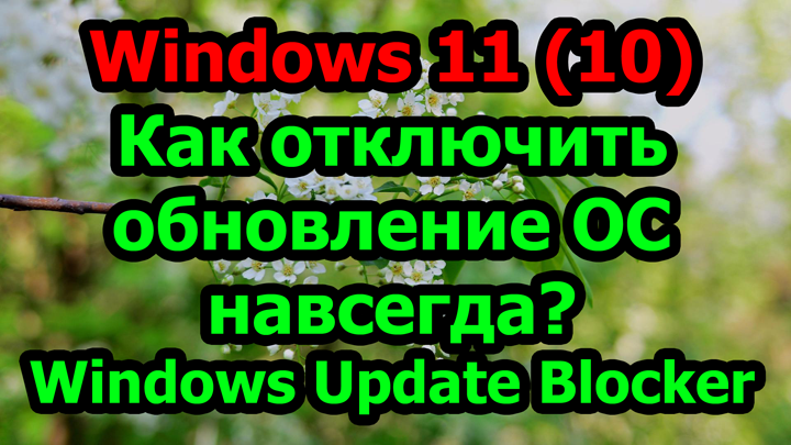 Windows 11 (10) Как отключить обновление ОС навсегда? Windows Update Blocker смотреть онлайн