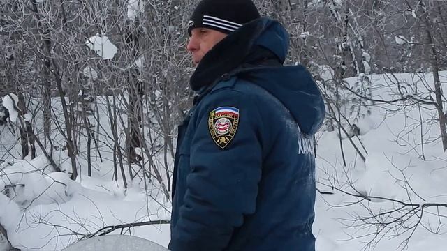 Прогулка по лесу смотреть онлайн