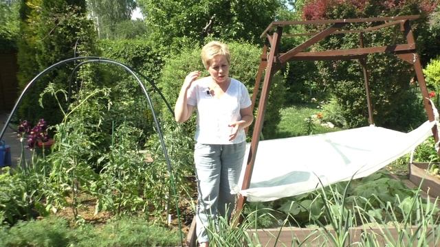 УХОД ЗА ОГУРЦАМИ В ИЮНЕ! НАСТРАИВАЕМСЯ НА ОБИЛЬНЫЙ УРОЖАЙ! смотреть онлайн