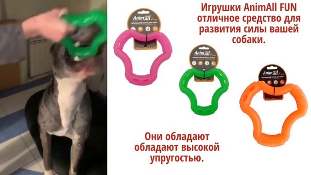 Іграшки AnimAll Fun –  магічний ключик до щасливого собачого життя! смотреть онлайн