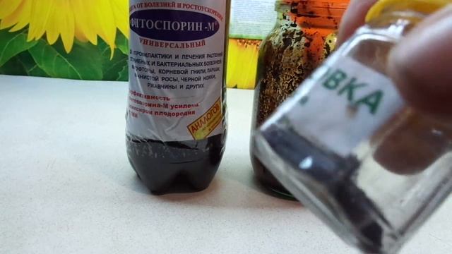 КАК ХРАНИТЬ МАРГАНЦОВКУ. Ольга Чернова. смотреть онлайн