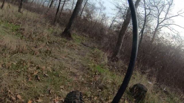 По лесным ТРОПИНКАМ в середине НОЯБРЯ смотреть онлайн