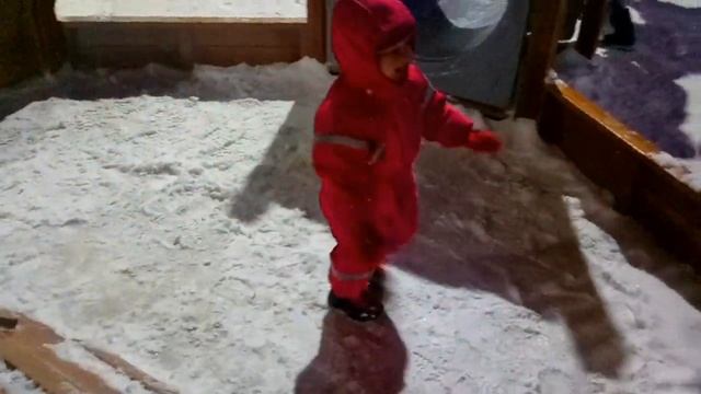 Парк сказка! Розовые Фламинго, Красивые деревья, Прекрасная Звезда смотреть онлайн