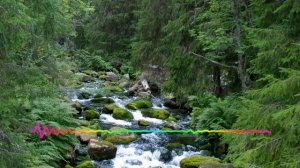 Наргиза - Любовь как сказка 2023