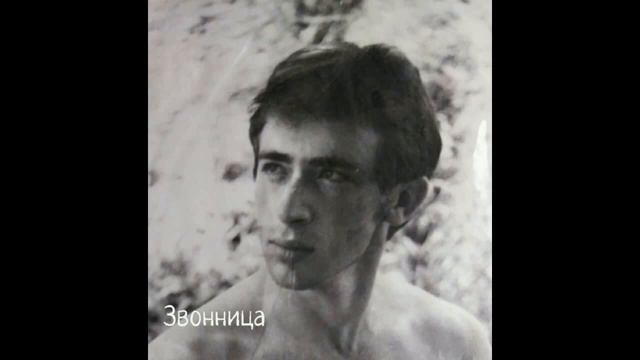 Дмитрий Левитес- Звонница (Муз Дм.Левитес-ст. Ел. Касьян) смотреть онлайн