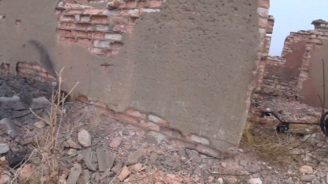 Удача такая далеко не каждый день !