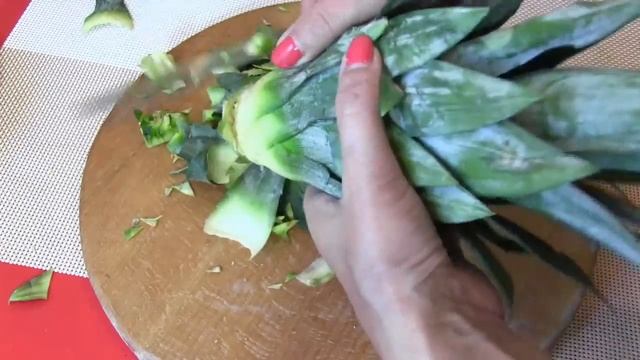Как укоренить ананас в домашних условиях смотреть онлайн
