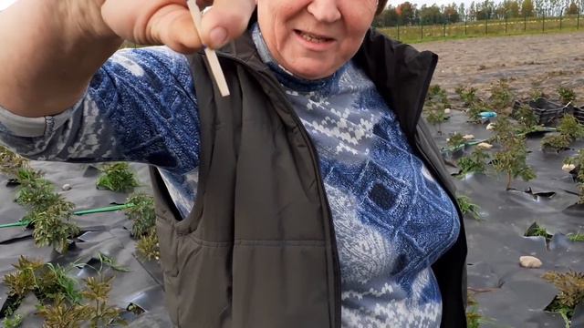 ФАЗЕНДА преображается!!! То ли ещё будет!!!🥰🌺😘 смотреть онлайн