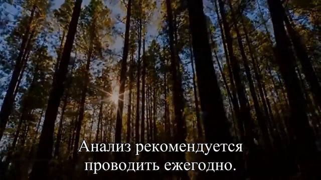 Что нужно знать о ранней диагностике рака — Статья смотреть онлайн