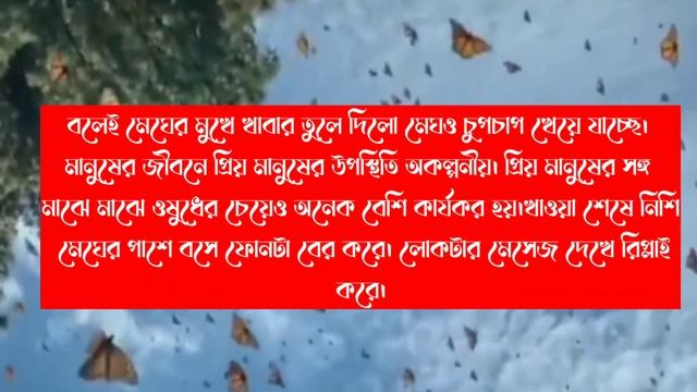 অজানা ভালোবাসা/পাট-৪/A Romantic Love Story / সম্পূর্ণ নতুন গল্প/voice_মাসুম,বিলকিস+3 @Manera_Pahki смотреть онлайн