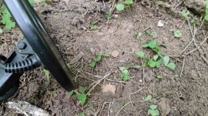 Сходил в  лес за монетами с металлоискателем Minelab x-terra 705.Терка 705. Катушка моно 7.5 кгц.