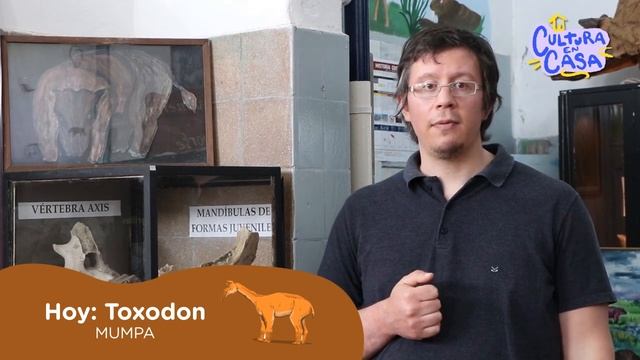 MUMPA - Toxodon смотреть онлайн