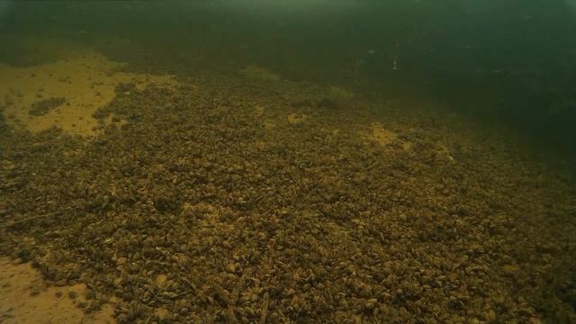 Зимняя рыбалка на Волге. Подводные съемки смотреть онлайн