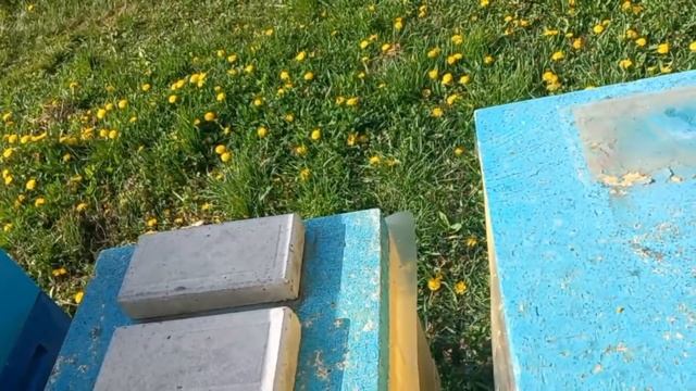 Как Добывать Гомогенат!!! смотреть онлайн