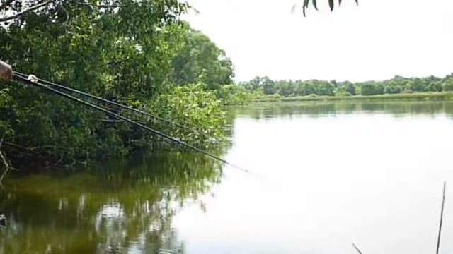 Рыбалка летом на Санчелеевских озерах смотреть онлайн