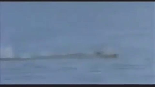 Обычные птицы танцуют невероятно красиво под лезгинку!) смотреть онлайн