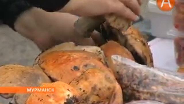 07в грибы и морошка на рынках 18.07.2013 смотреть онлайн