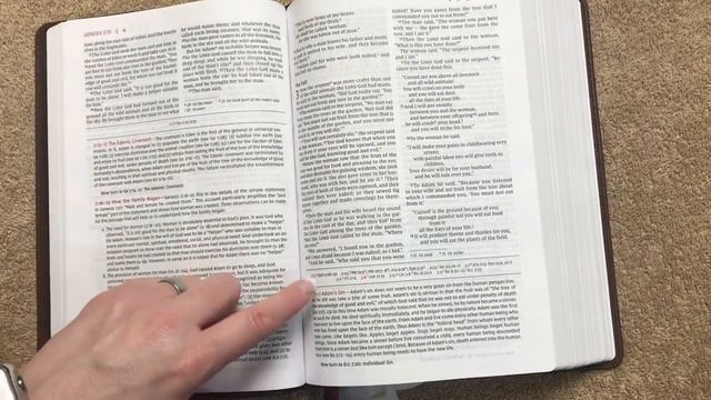 NIV Open Bible Review Brown Genuine Leather смотреть онлайн
