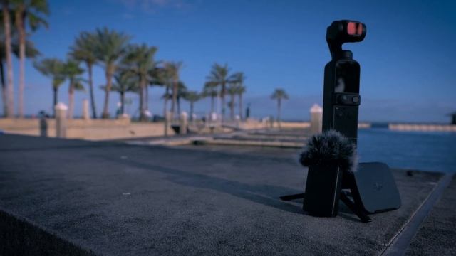 5 Reasons to Buy the DJI Pocket 2 in 2024 смотреть онлайн