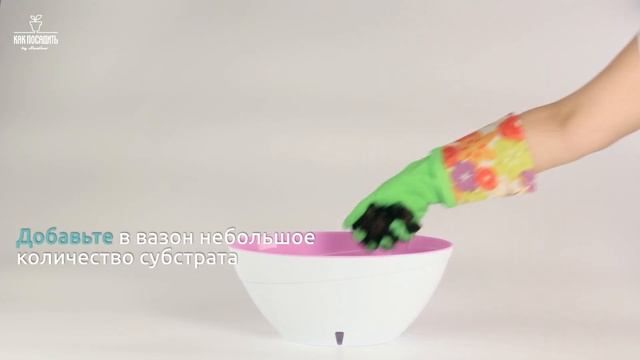 Как пересадить ОРХИДЕЮ в инновационный вазон с фитильным автополивом CALIPSO by Santino смотреть онлайн