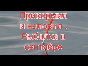Прикормил и наловил . Рыбалка в сентябре
