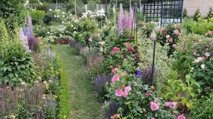 Лучшие растения - компаньоны для РОЗ . Обзор РОЗАРИЯ . Лучшие СОРТА РОЗ.