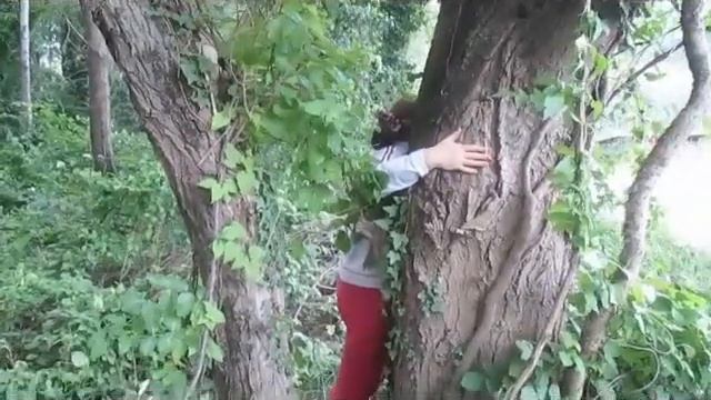 Сила Жизни. Практики Летнего Солнцестояния смотреть онлайн