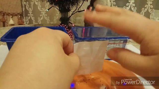 Сею на рассаду горечавку и примулу. Стратификация. Фитолампа. Обзор всходов пепино. смотреть онлайн