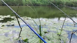 Чем отличается спиннинг от удочки|Летняя рыбалка