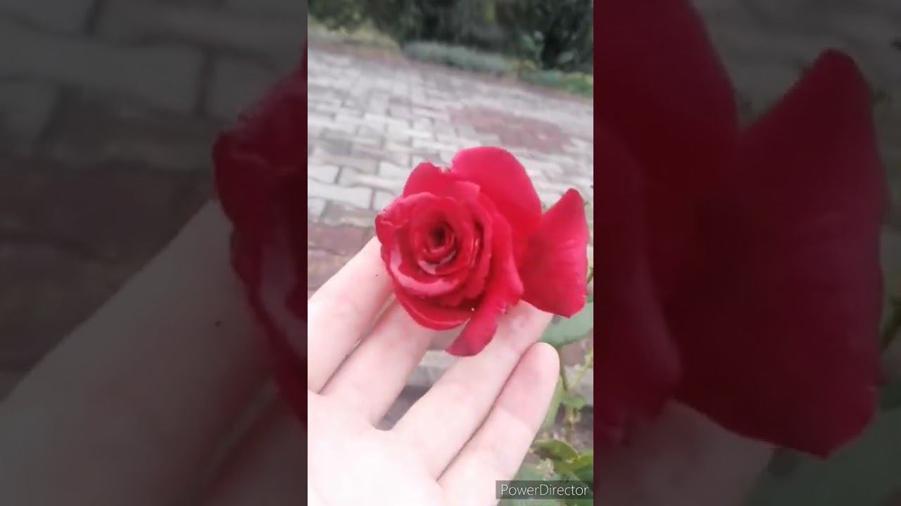 12 сентября 2022 смотреть онлайн