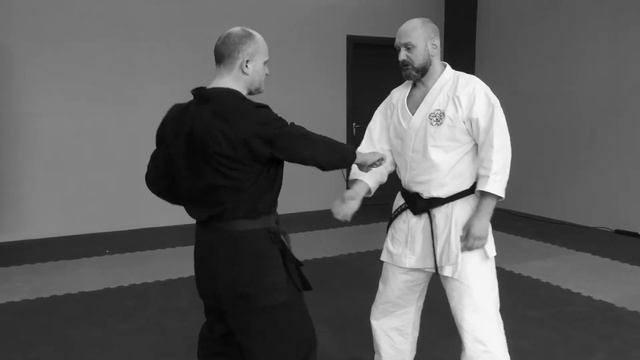 Теория прямого удара рукой в каратэ смотреть онлайн