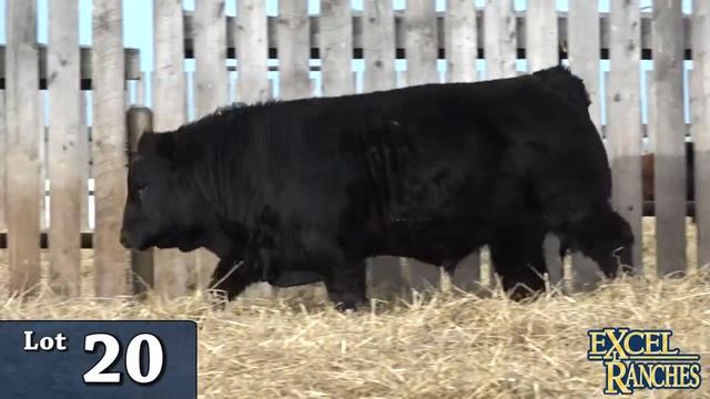 Lot 20 -Excel 2019.mp4 смотреть онлайн
