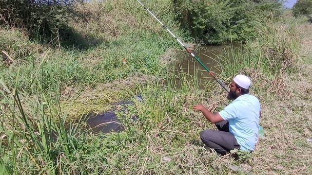 amazing fishing video in Village |Fisher Man Catching in Big catfishes in Deep ponds смотреть онлайн