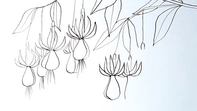 Изящные цветы нарисованные коричневой тушью и цветными карандашами. смотреть онлайн