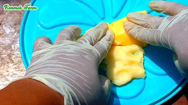 How to Grow Longan Tree ?From Longan Fruit for Beginner by Unique Way ?Successful смотреть онлайн