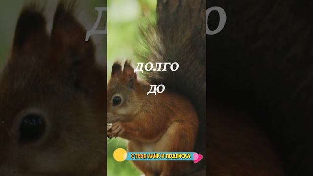 Агаааа-а ... смотреть онлайн