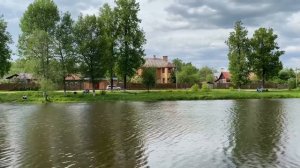 Изумительная природа в городе Чехов, Московской обл. Чайки пытаются поймать рыбу. Залипательно.