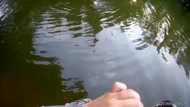 Голавль на жука (нахлыст) смотреть онлайн