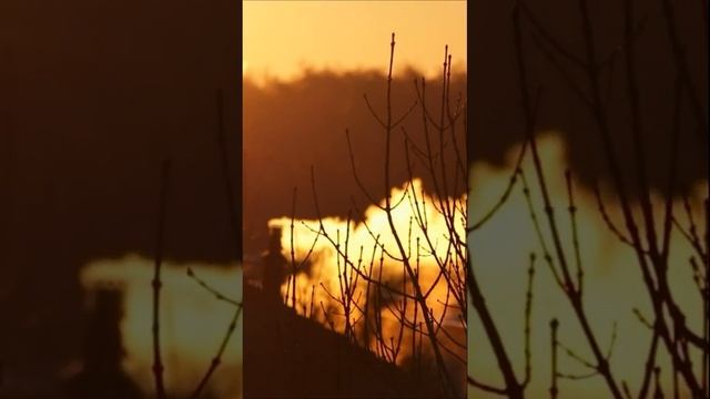 Человеку надо мало - Роберт Рождественский | Стихи со смыслом, глубокие стихи ✍ смотреть онлайн