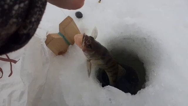 Сорочьи горы, река Кама РТ Татарстан. Рыбалка на новом для меня месте возле знаменитого моста! смотреть онлайн