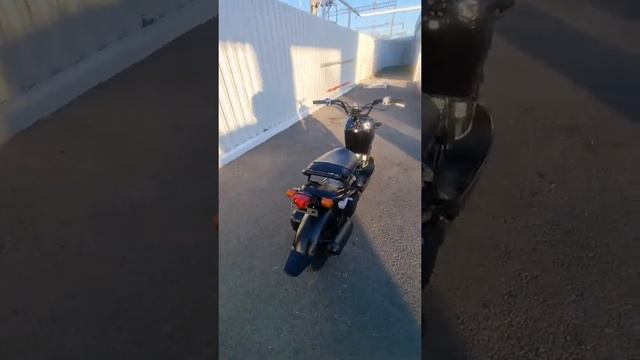 Honda Zoomer AF 58 новое поступление смотреть онлайн