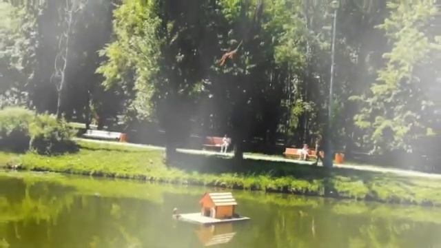 Лето в Воронцовском парке