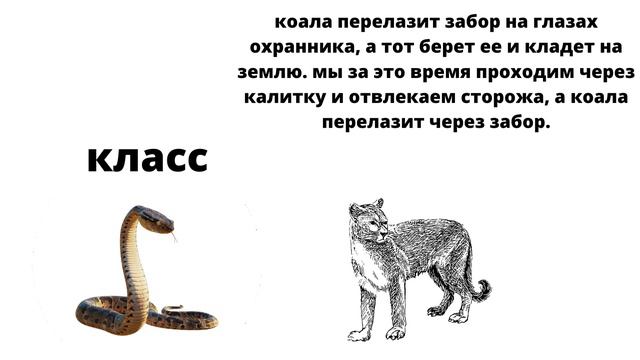 мини побег животных из зоопарка смотреть онлайн