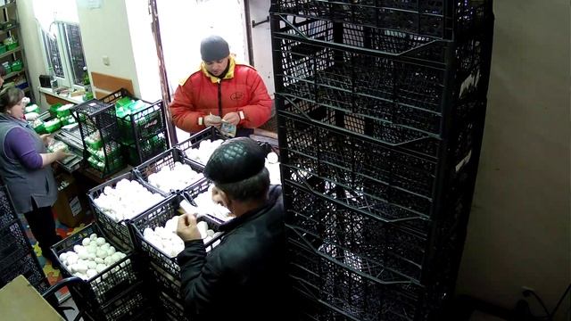 IP видеокамера Dahua DH-IPC-HFW3200S (день1) смотреть онлайн