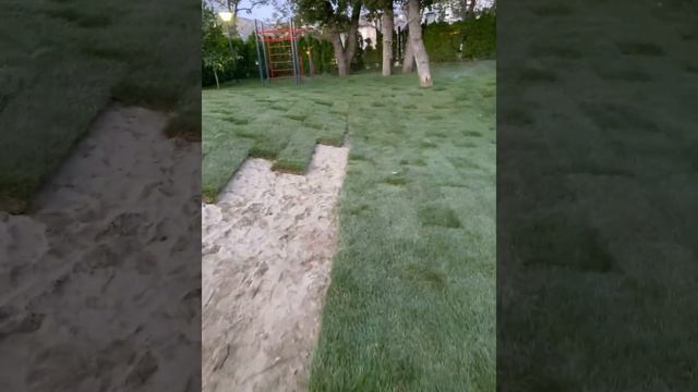 Рулонный газон. Устройство рулонного газона под ключ с автополивом. смотреть онлайн