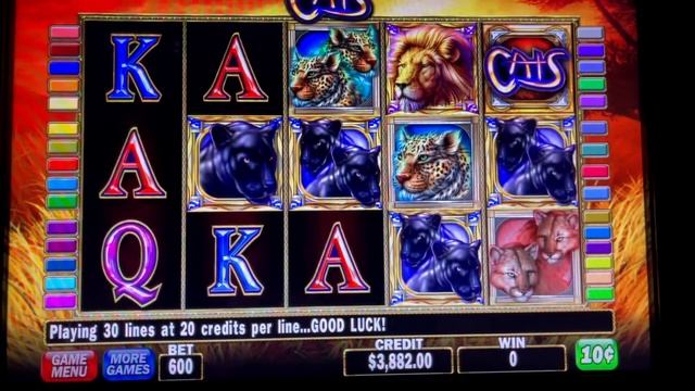 HUGE JACKPOT/ CATS SLOT HIGH LIMIT/ $60 BETS/ 10 FREE GAMES/ CATS SLOT JACKPOT/ MUCHO DINERO SLOTS смотреть онлайн