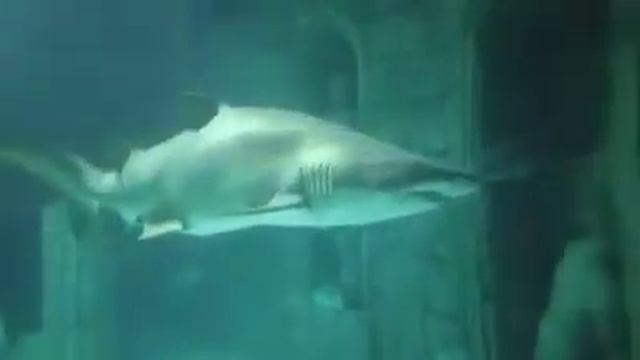 Мой Стамбул. смотреть онлайн